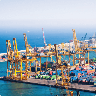 Customs Clearance Excellence